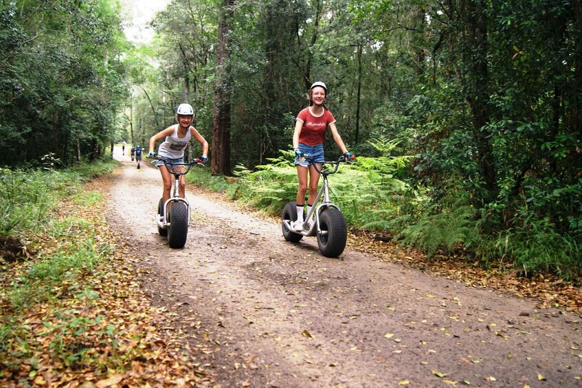 Picture 1 for Activity Knysna: Downhill Forest Scootour Adventure