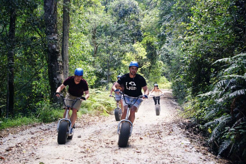 Picture 2 for Activity Knysna: Downhill Forest Scootour Adventure