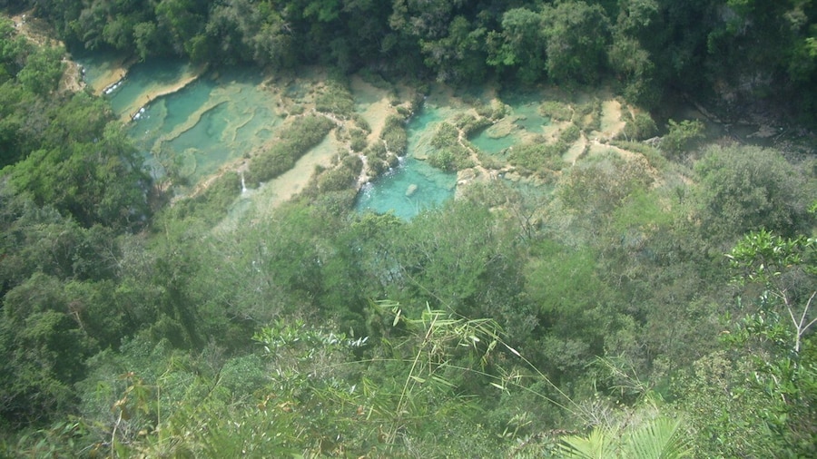 From Lanquin: Semuc Champey Park and Kanba Cave Guided Tour