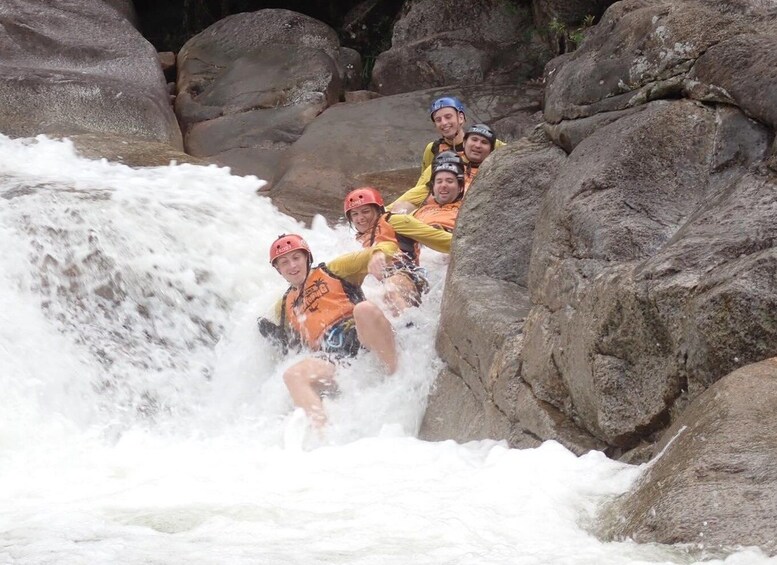 Picture 35 for Activity Cairns: Waterfalls and Rainforest Experience Full Day