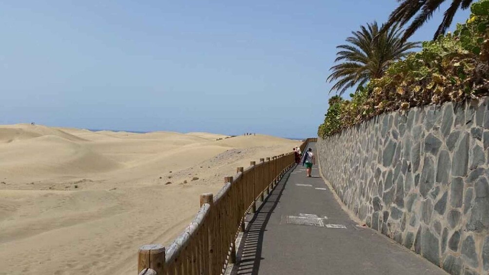 Picture 1 for Activity E-Bike Family Tour : Sightseeing Maspalomas Playa del Ingles