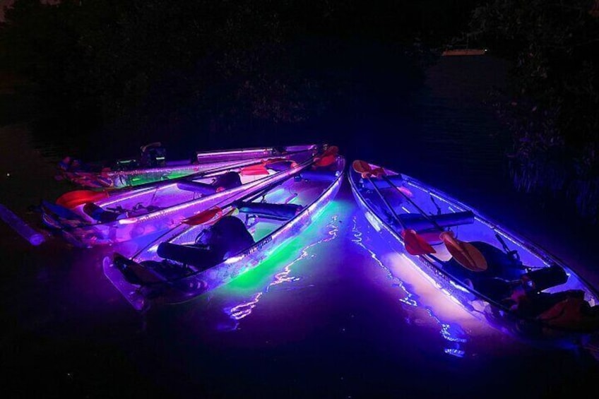 Illuminated Clear Kayak LED Glow Nights Mangrove Paddle