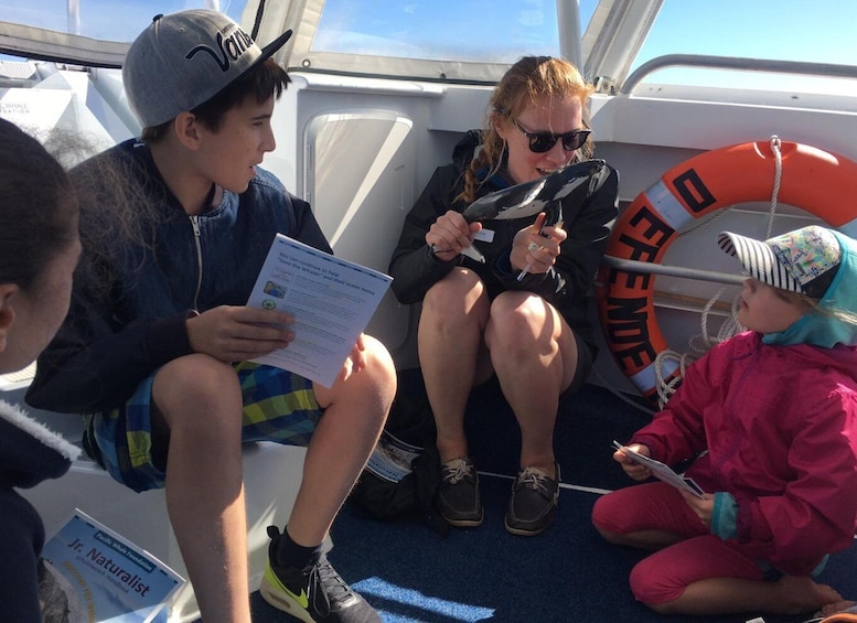 Picture 7 for Activity Hervey Bay: Ultimate Whale Watching Experience