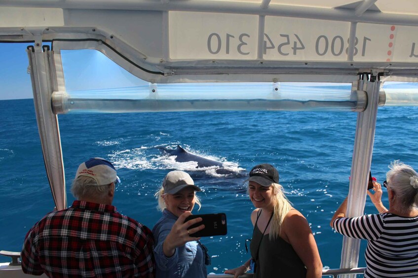 Picture 3 for Activity Hervey Bay: Ultimate Whale Watching Experience