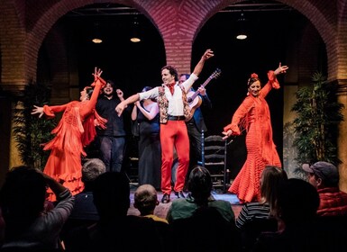 Sevilla: Espectáculo Flamenco con Entrada Opcional al Museo del Flamenco