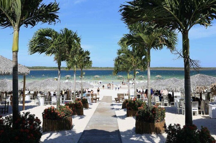 Full Day VIP Tour in Jericoacoara