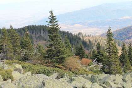 Sofia: Walk and Hike in Vitosha Mountain and Pancharevo Lake