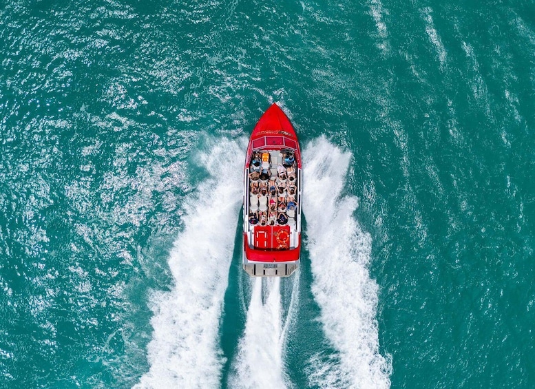 Picture 1 for Activity Airlie Beach: 30-Minute Jet Boat Ride