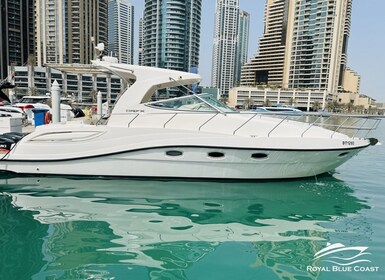Dubai Marina: 2-Hour Mini Yacht Ride