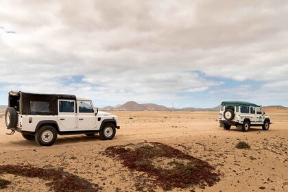 Fuerteventura: Jeepsafari Cotillo Route