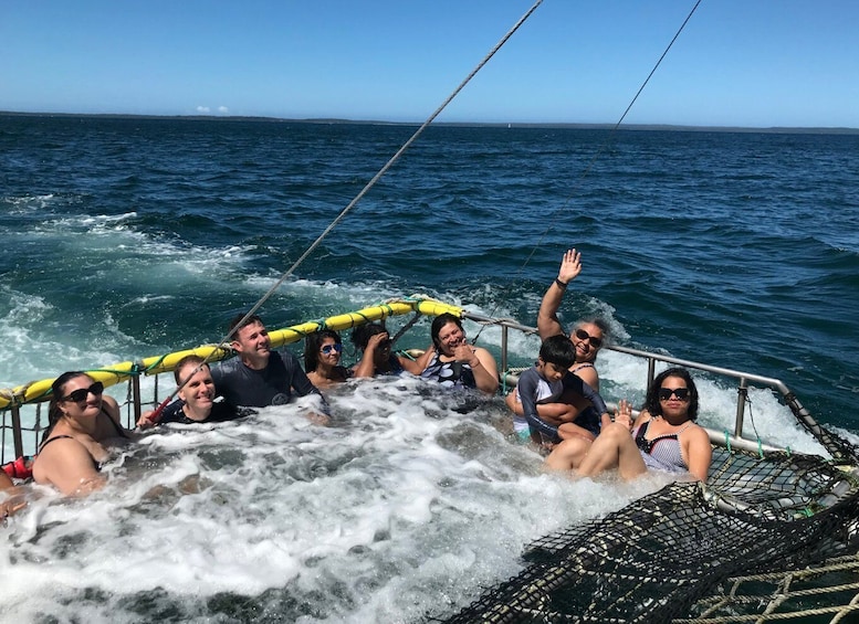 Picture 4 for Activity Huskisson: Dolphin Cruise & Boom Netting Experience