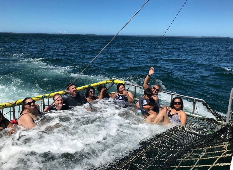 Picture 4 for Activity Huskisson: Dolphin Cruise & Boom Netting Experience