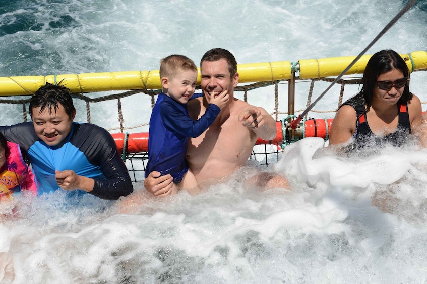 Picture 2 for Activity Huskisson: Dolphin Cruise & Boom Netting Experience