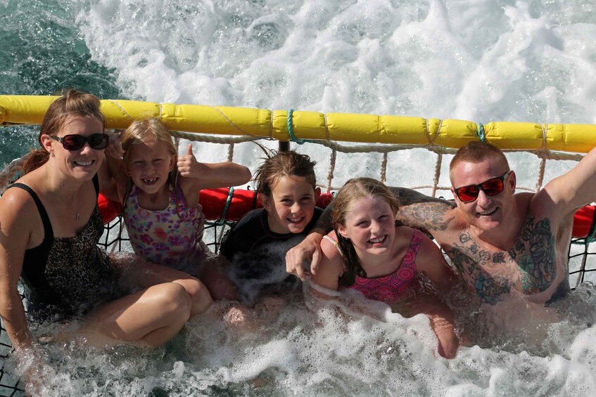 Picture 3 for Activity Huskisson: Dolphin Cruise & Boom Netting Experience