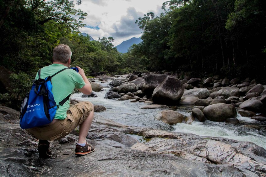 Picture 8 for Activity From Cairns: Daintree National Park Private Tour