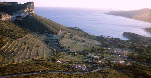 Marsella Vieux Port y cata de vinos - Tour privado