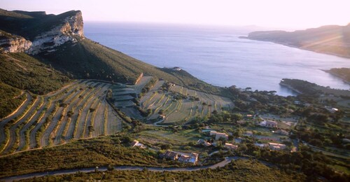 Marsella Vieux Port y cata de vinos - Tour privado