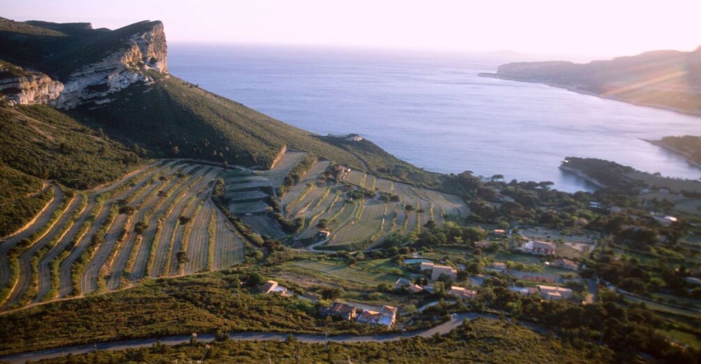 Marseille Vieux Port & Wine Tasting - Private Tour