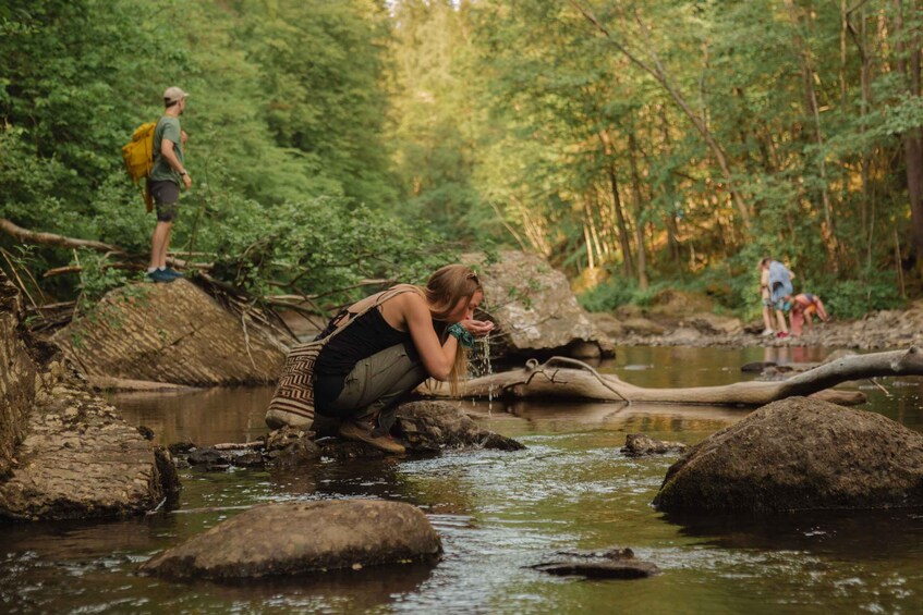 Picture 1 for Activity Oslo: Lysaker Wild River Walk