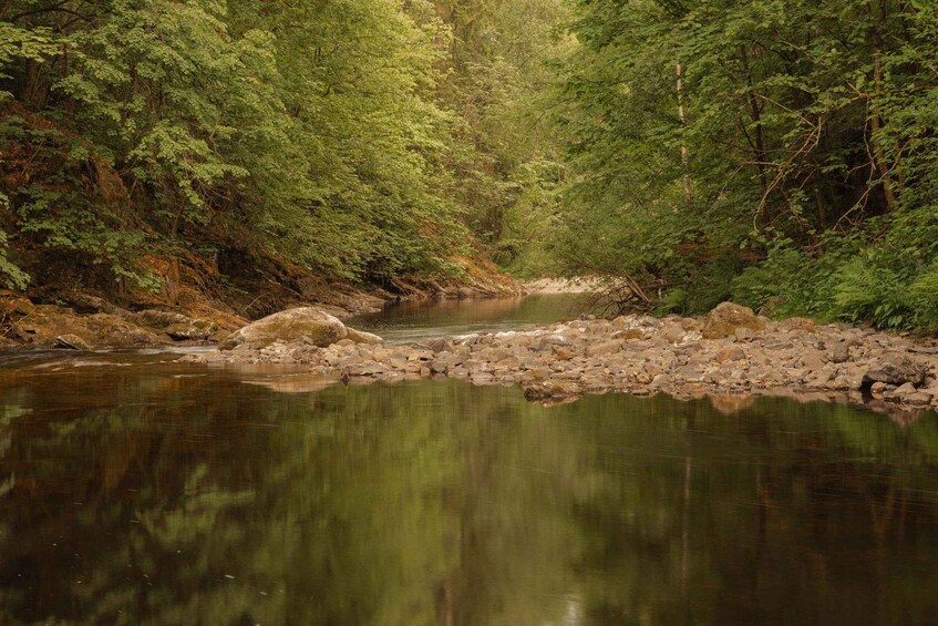 Picture 5 for Activity Oslo: Lysaker Wild River Walk