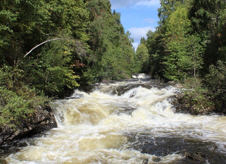 Picture 9 for Activity Oslo: Lysaker Wild River Walk