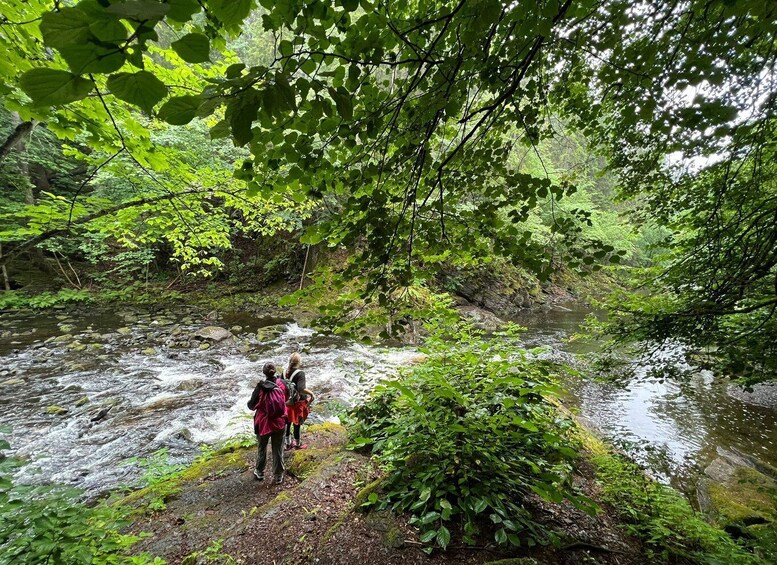 Picture 8 for Activity Oslo: Lysaker Wild River Walk