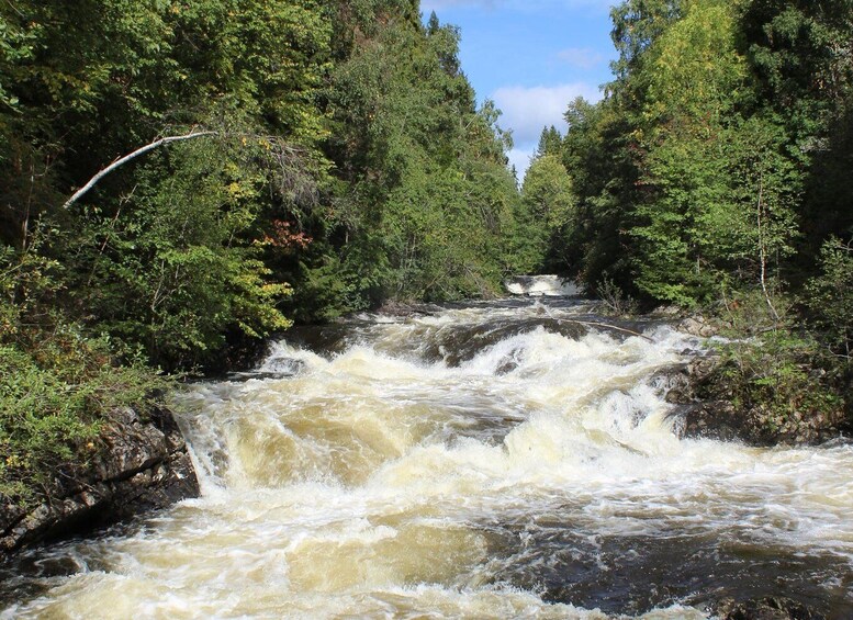 Picture 9 for Activity Oslo: Lysaker Wild River Walk