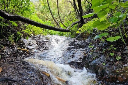 Full day Hiking and Waterfalls Experience