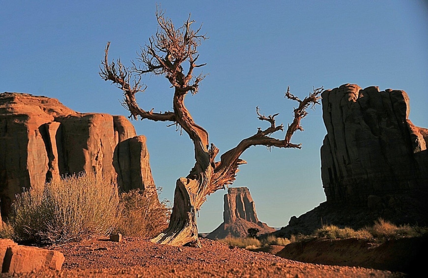 Picture 8 for Activity Monument Valley: Scenic 1.5-Hour Tour