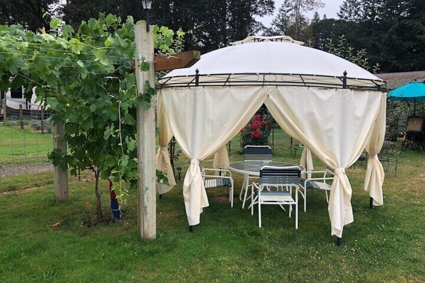 We have a number of private seating areas scattered among grapes and kiwis, including our "Date Night" pavilion with privacy curtains.