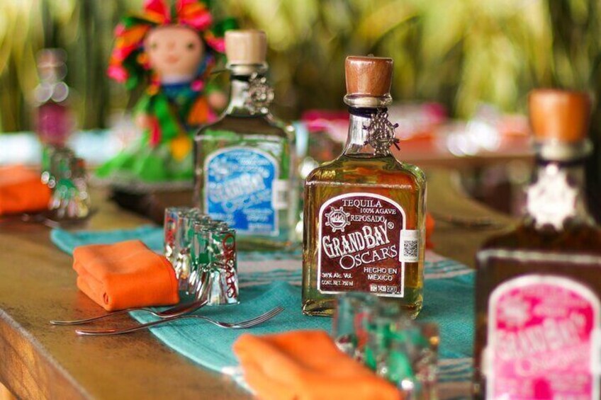 Tequila Mezcal and Raicilla Tasting in Puerto Vallarta