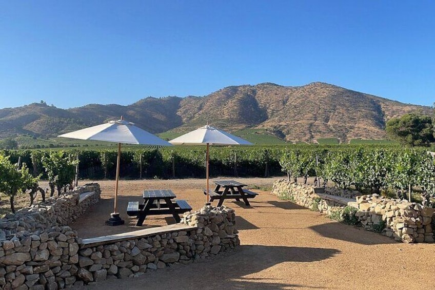 Tasting area