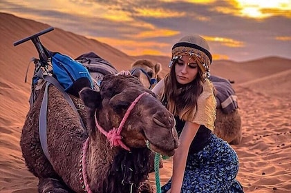 Magical dinner with camel ride at sunset in Agafay desert