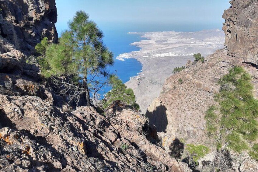 Hiking experience in the north of Gran Canaria