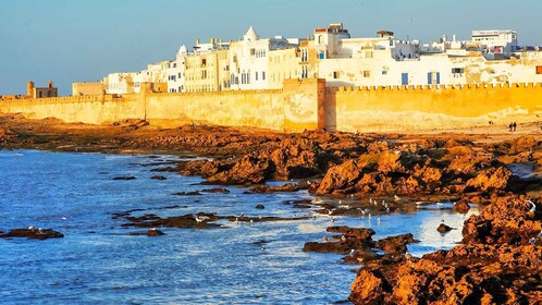 From Marrakesh: Essaouira Full-Day Trip