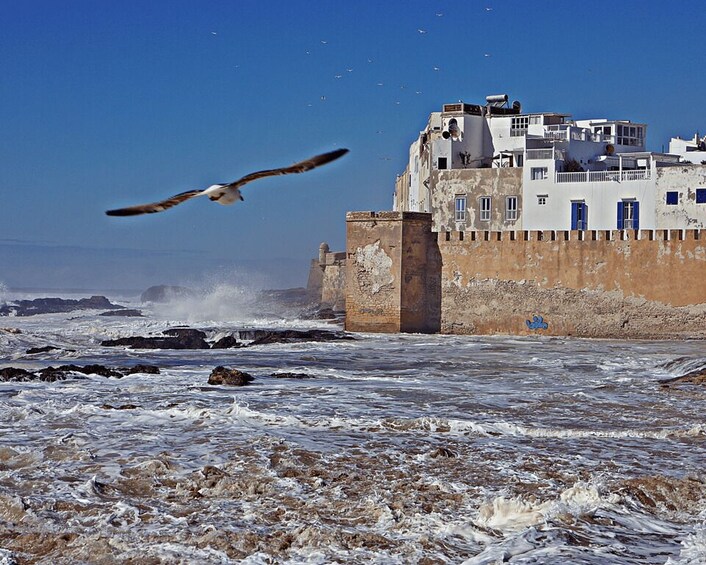 Picture 20 for Activity From Marrakesh: Essaouira Full-Day Trip