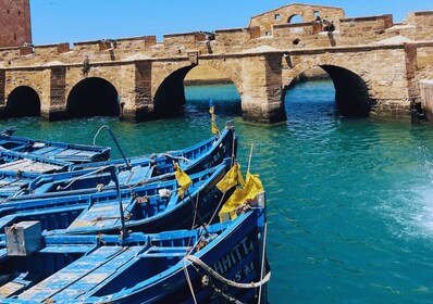 Fra Marrakesh: Heldagstur til Essaouira