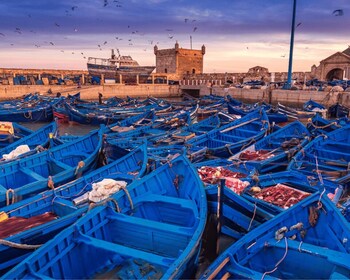 จาก Marrakesh: Essaouira ทริปเต็มวัน