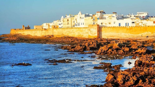 จาก Marrakesh: Essaouira ทริปเต็มวัน