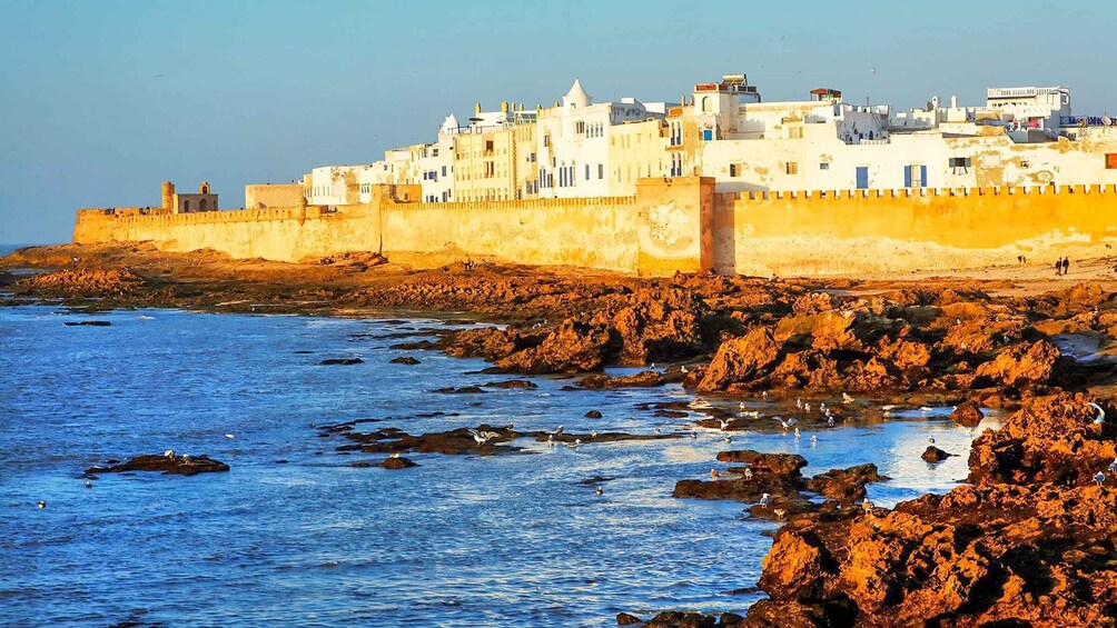 From Marrakesh: Essaouira Full-Day Trip