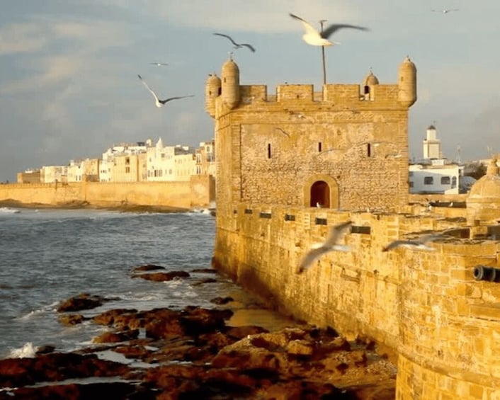 Picture 1 for Activity From Marrakesh: Essaouira Full-Day Trip
