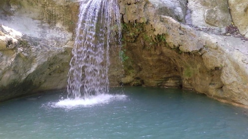 Puerto Plata: Half-Day Damajagua Waterfalls Adventure