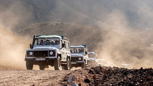 Fuerteventura: Jeeptur til Jandía naturpark og Cofete strand