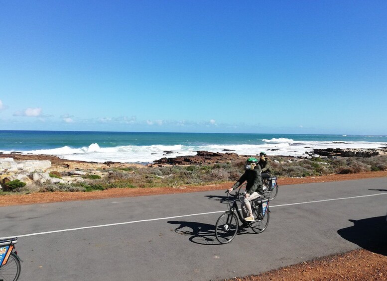 Picture 15 for Activity Cape Peninsula: Cycle & Drive Private Full Day Tour