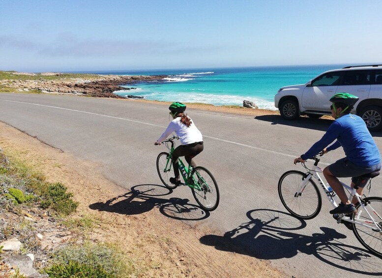 Picture 23 for Activity Cape Peninsula: Cycle & Drive Private Full Day Tour