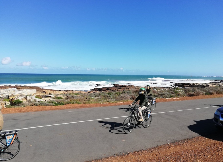 Picture 15 for Activity Cape Peninsula: Cycle & Drive Private Full Day Tour