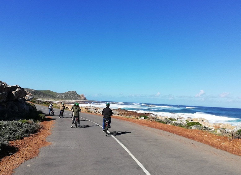 Picture 15 for Activity Cape Peninsula: Cycle & Drive Private Full Day Tour
