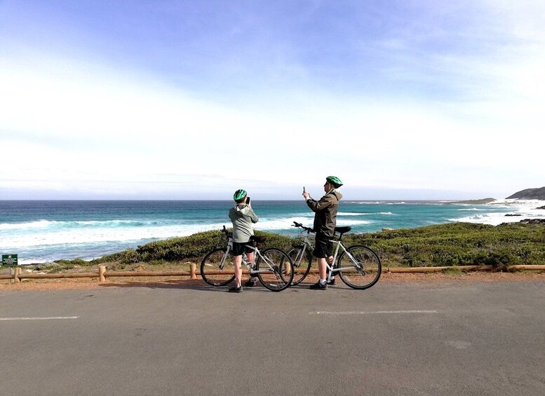 Picture 1 for Activity Cape Peninsula: Cycle & Drive Private Full Day Tour