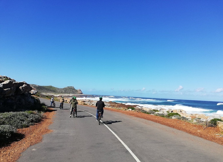 Picture 18 for Activity Cape Peninsula: Cycle & Drive Private Full Day Tour