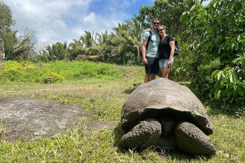 Private BiciTour Giant Tortoises and Lava Tunnel in Galapagos